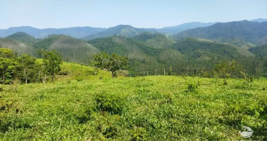 Sítio com mata nativa entre são josé dos campos e são francisco xavier/sp