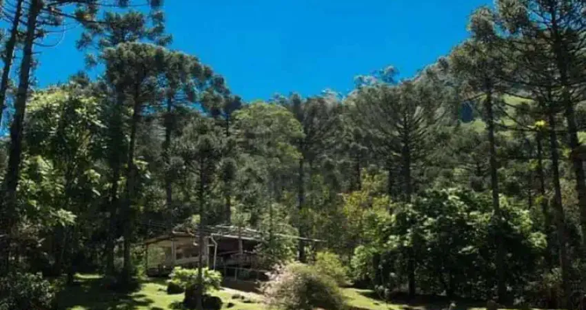 Locação de trutário com restaurante e cachoeiras – 1.400m de altitude em são francisco xavier