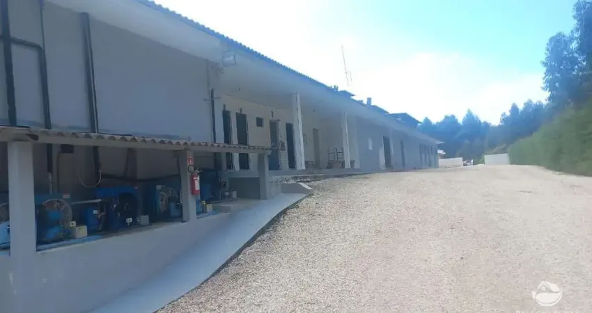 Chácara / sítio à venda no Jardim do Leste, Londrina