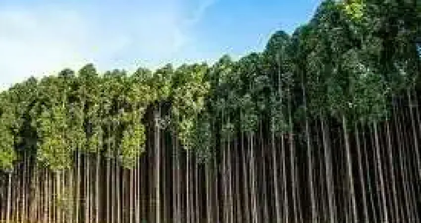 Chácara / sítio com 1 quarto à venda em São Francisco Xavier, São José dos Campos 