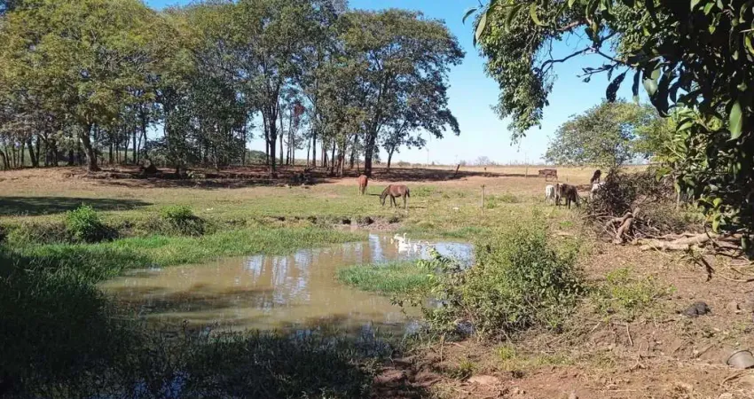 Chácara / sítio com 1 quarto à venda no Centro, Miguelópolis