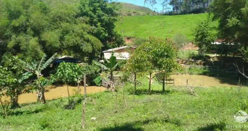 Chácara / sítio com 3 quartos à venda no Centro, Monteiro Lobato 