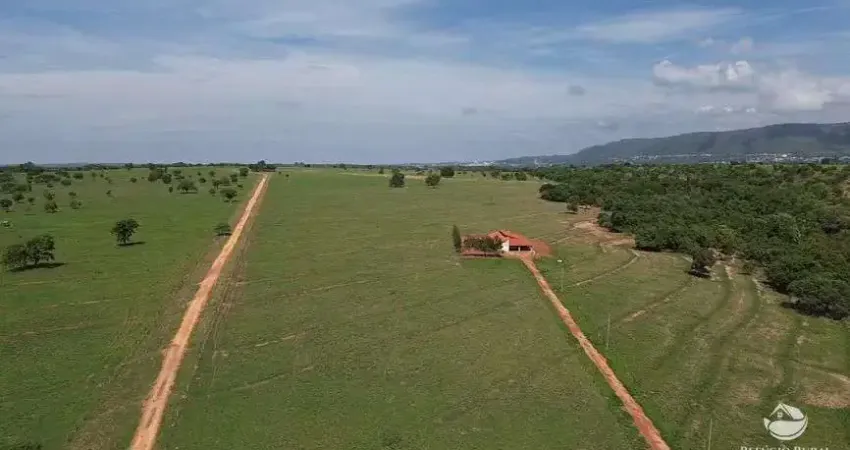 Fazenda à venda na Alexandrina, Quirinópolis