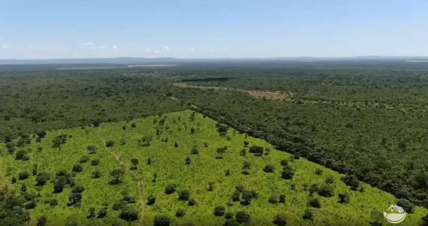 Fazenda à venda no Centro, Arinos