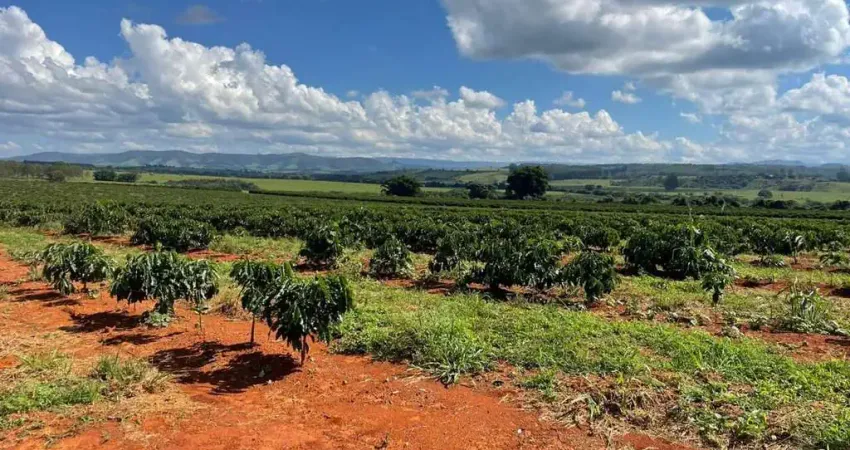 Fazenda à venda no Centro, Piumhi