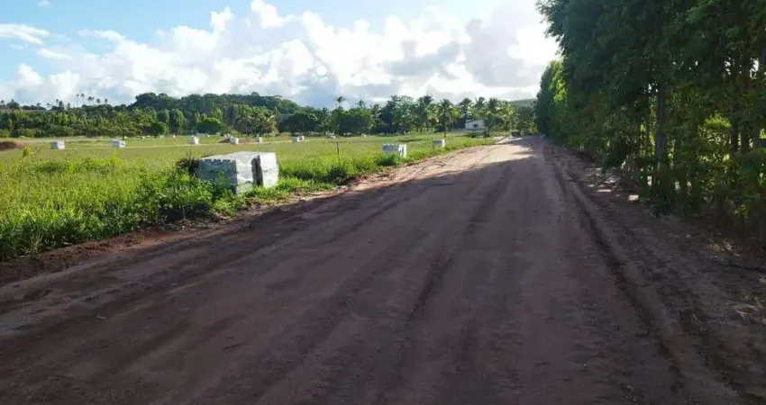 Lote à venda em rua pública, PONTA DO MANGUE, Maragogi, AL
