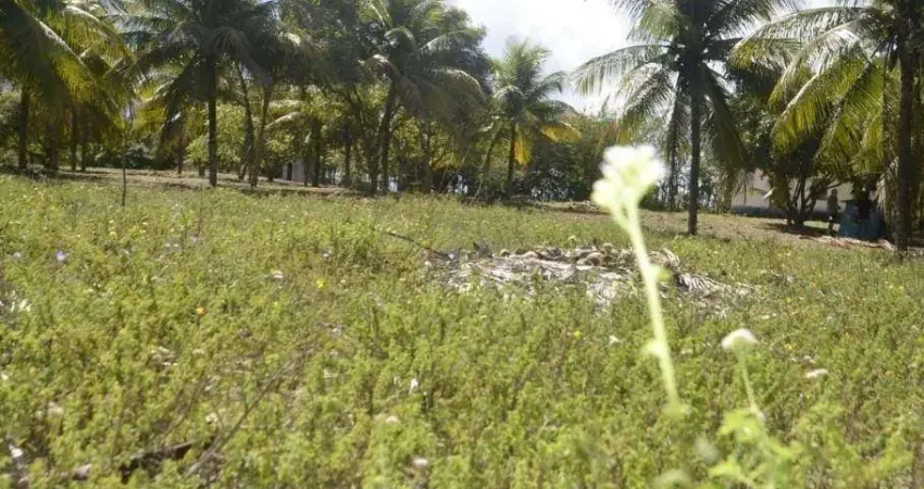 Lote à venda em rua pública, ZONA DE EXPANSÃO (ARUANDA), Aracaju, SE
