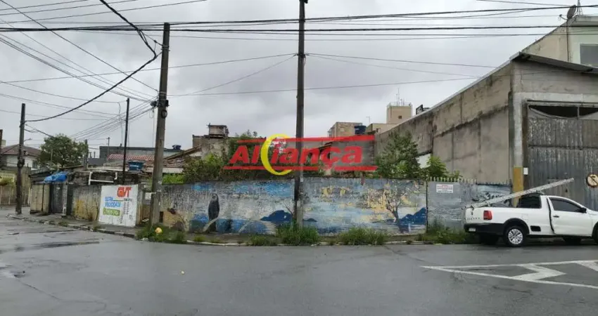 Terreno para alugar com 218m², vila são rafael - guarulhos/sp por r$ 3.000,00