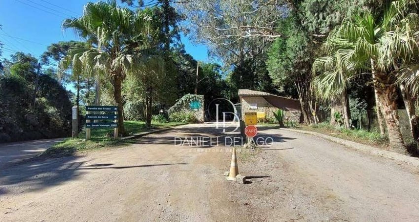 Terreno à venda, 5020 m² por R$ 250.000,00 - Recreio da Serra - Piraquara/PR