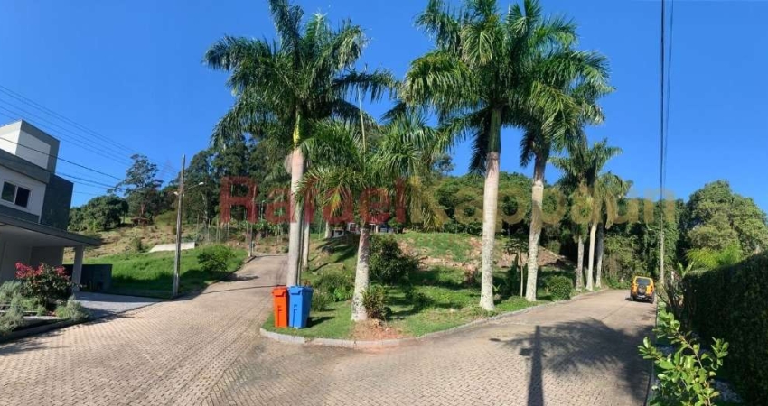 Terreno à venda na Rua Leonel Pereira, 2167, Cachoeira do Bom Jesus, Florianópolis