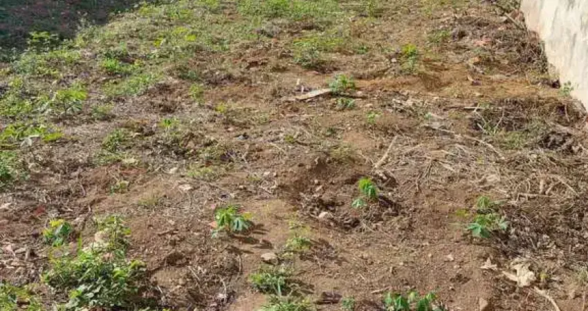 Terreno com 297,62m², plano, perto de comércios e residências, rua com muito movimento, excelente localização