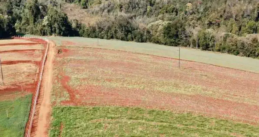 Chácara / sítio com 1 quarto à venda na Área Rural de Cambé, Cambé 