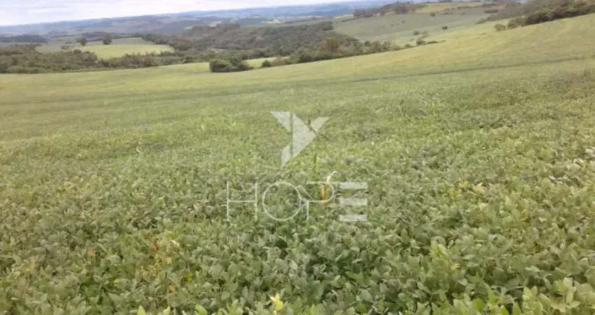Fazenda de 76 Alqueires  Alto Padrão à Beira do Asfalto em Assis