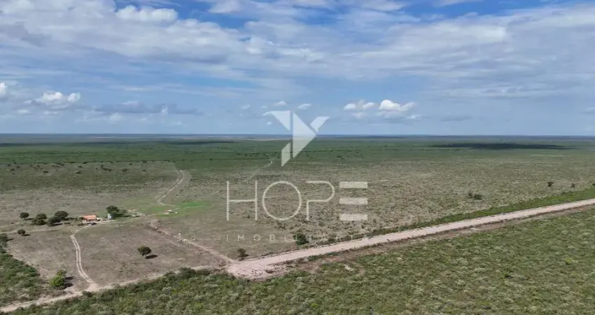 EXCELENTE FAZENDA DE 9300 HECTARES A VENDA EM BAIANÓPOLIS - BAHIA