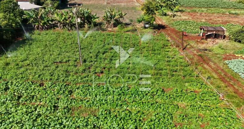 CHÁCARA DE 1.33 ALQUERES A VENDA NA GLEBA LIMOEIRO