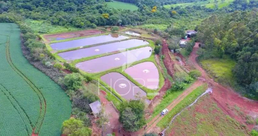 Sítio à venda estância produtiva – 32 alqueires – apucarana pr