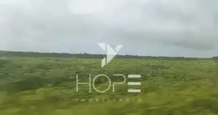 Fazenda à venda de grande escala | 12.565 hectares com dupla aptidão agrícola | Sul do Pará