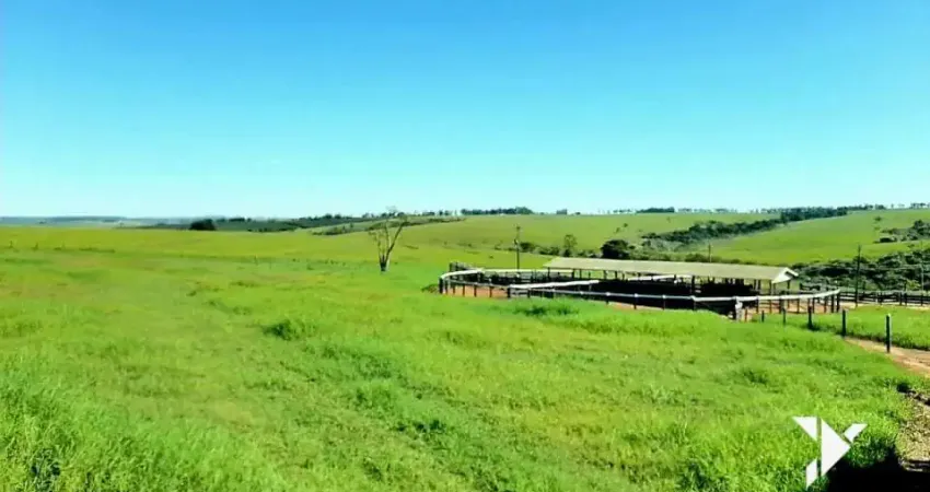 Fazenda de 217 Alqueires – Localização Estratégica na Beira da Rodovia, a Apenas 50 km de Campo