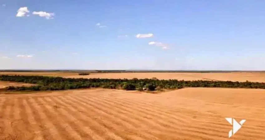 Fazenda à venda 33.000 ha agricultura e pecuária estrutura operacional completa – Mato Grosso