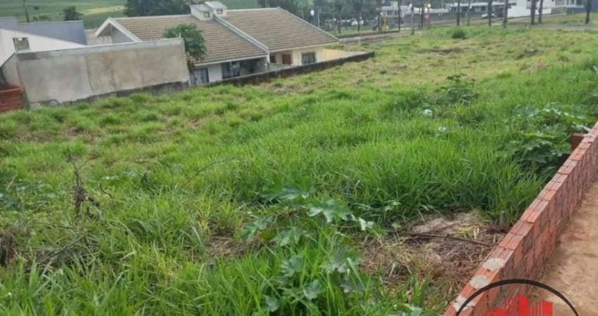 Terreno à venda na Rua Pioneiro Pedro Beltran Pedreiro, 500, Ecovalley Ecologic City, Sarandi