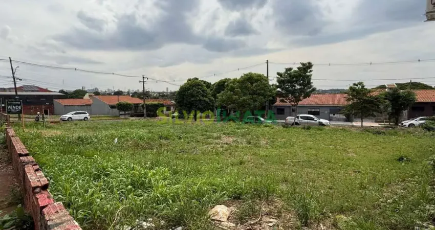 Terreno comercial à venda na Avenida Tuiuti, 2919, Vila Morangueira, Maringá