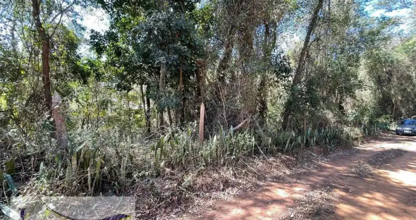 Terreno à venda em Palmares, Paty do Alferes