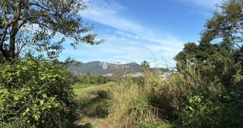 Terreno comercial para alugar na Rodovia Haroldo Soares Glavan, 1015, Cacupé, Florianópolis