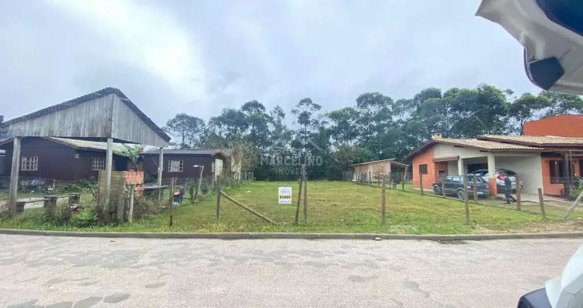 Terreno à venda na Rua Maria Aparecida Barbosa, Povoado de Campo D'una, Garopaba