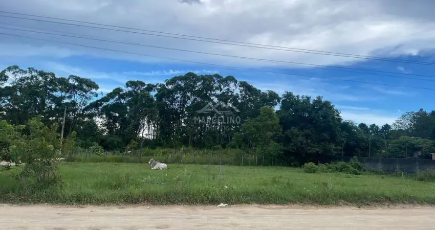 Terreno à venda no Campo D'una, Imbituba 