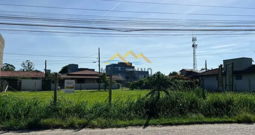 TERRENO NO ROSA