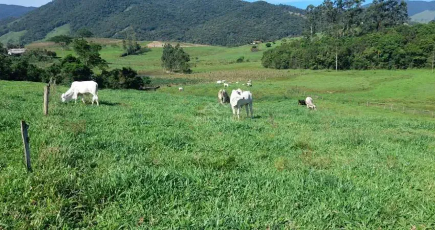 Chácara / sítio à venda na Estrada Geral Aratingaúba, Aratingauba, Imaruí