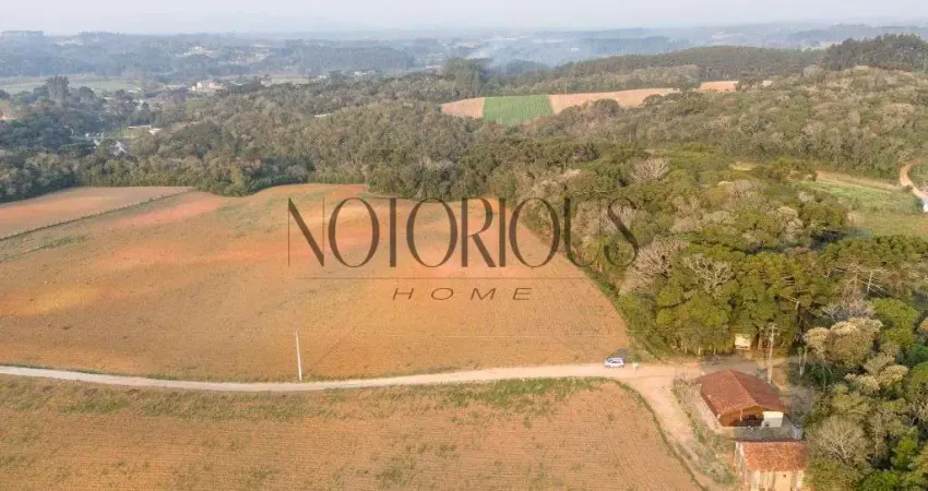 Terreno para Venda em Sao Jose dos Pinhais / PR no bairro Colonia Mergulhao