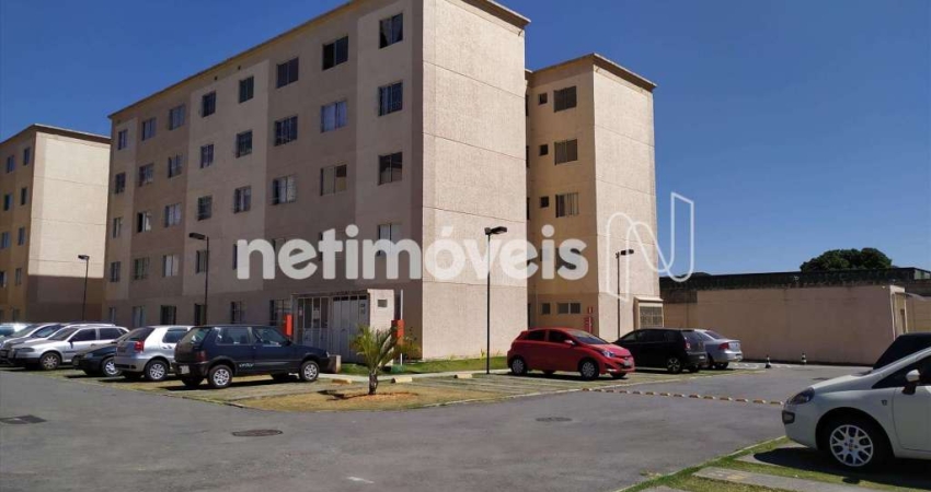 Venda Apartamento 2 quartos São Gabriel Belo Horizonte