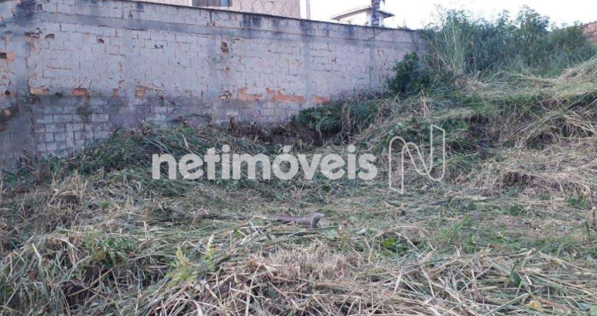 Terreno comercial à venda na Rua Mirante, Novo Horizonte, Sabará