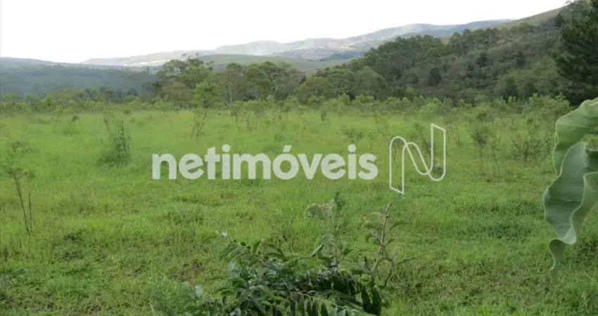 Terreno em condomínio fechado à venda na Lote Um, Vila Alpina, Nova Lima