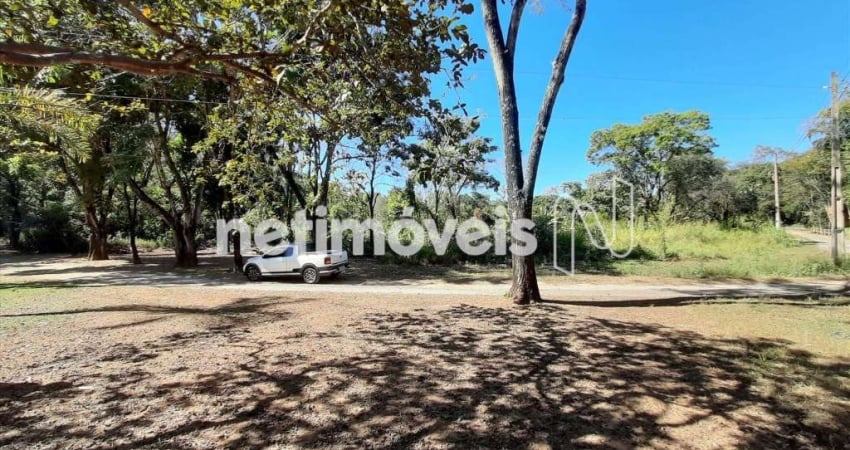 Venda Lote-Área-Terreno Nova Pampulha Vespasiano
