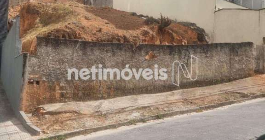 Terreno comercial à venda na Rua José Júlio Ferreira, Fernão Dias, Belo Horizonte