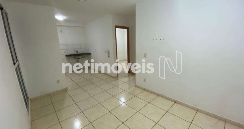 Venda Avenida Chácaras Reunidas Santa Terezinha Contagem
