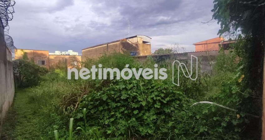Venda Lote-Área-Terreno Santa Terezinha Belo Horizonte