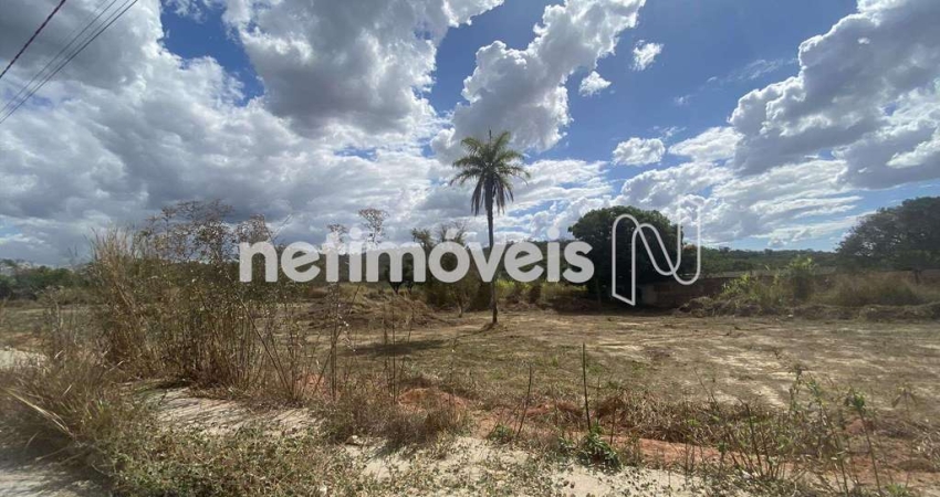 Venda Lote-Área-Terreno Inácia de Carvalho São José da Lapa