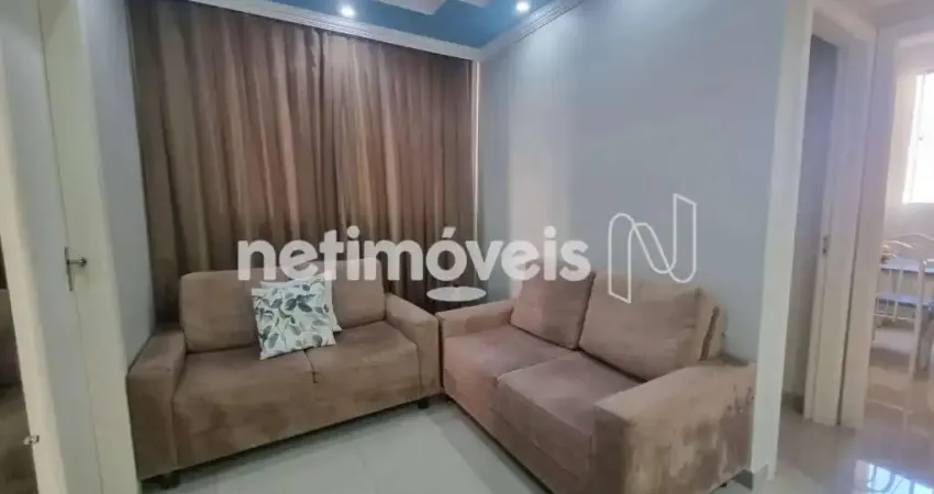Venda Apartamento 3 quartos Jaqueline Belo Horizonte