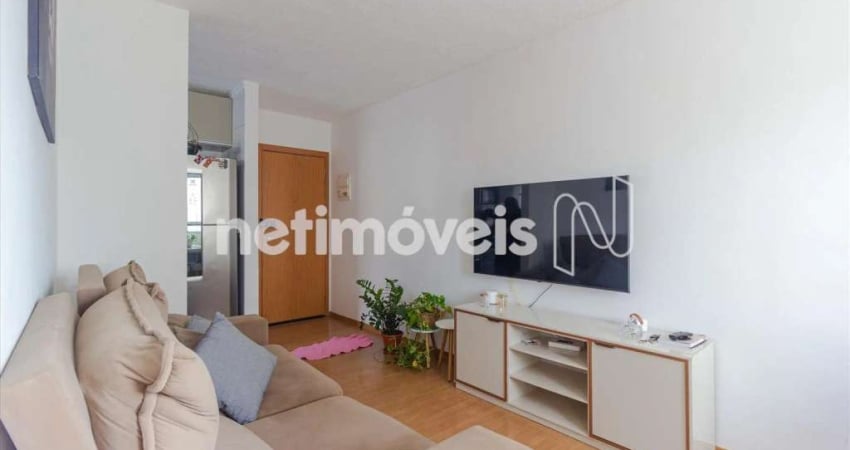 Apartamento com 2 quartos à venda na Alameda dos Flamingos, Cabral, Contagem