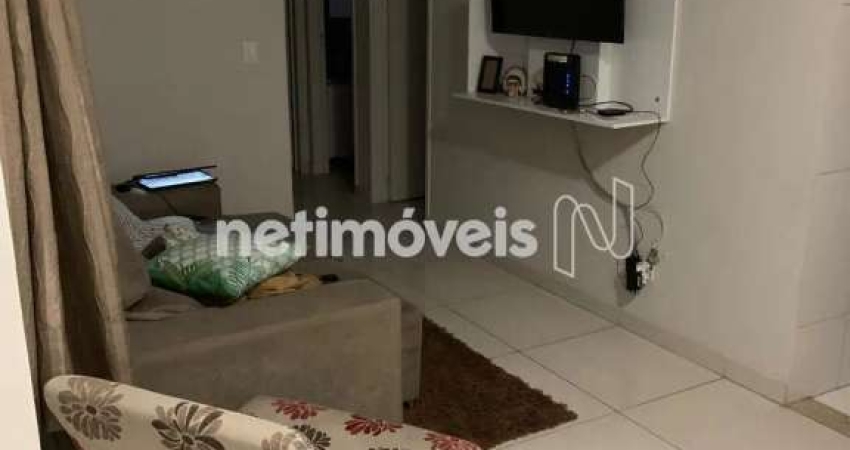 Venda Apartamento 3 quartos Ventosa Belo Horizonte