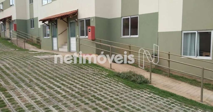 Venda Apartamento 2 quartos Cândida Ferreira Contagem