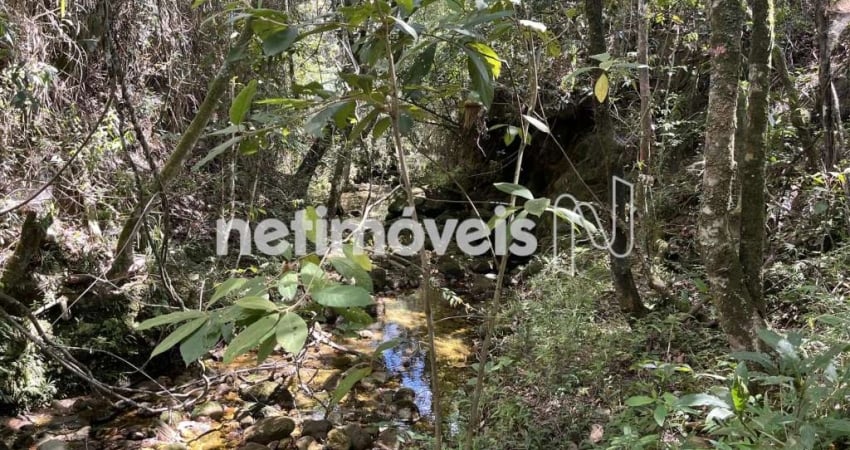 Fazenda à venda na Estrada Serra São José, Zona Rural, Prados