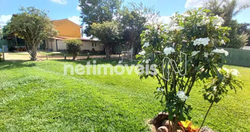 Terreno comercial à venda na Rua Três, Chácara Novo Horizonte, Contagem