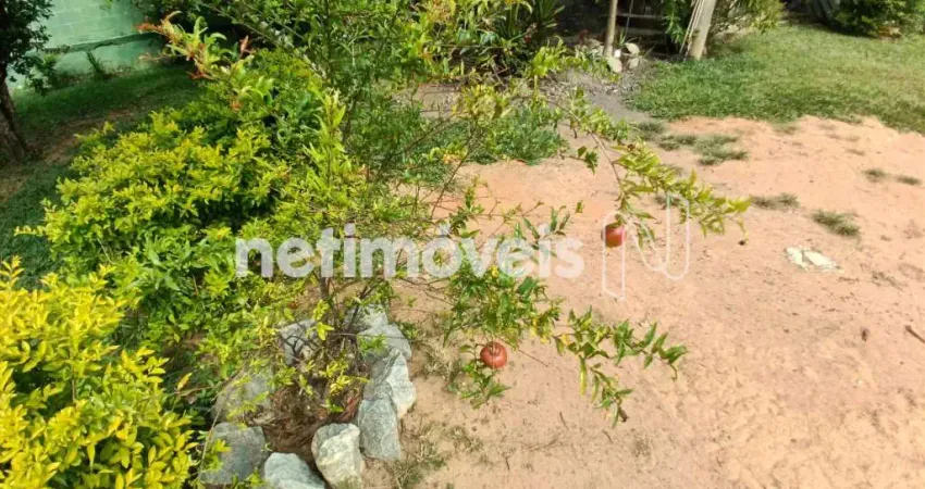 Terreno comercial à venda na Rua Três, Chácara Novo Horizonte, Contagem