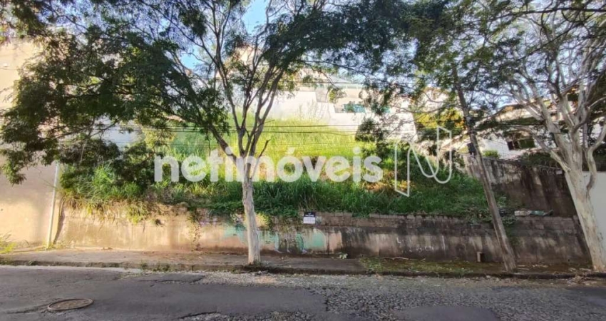 Venda Lote-Área-Terreno Comiteco Belo Horizonte