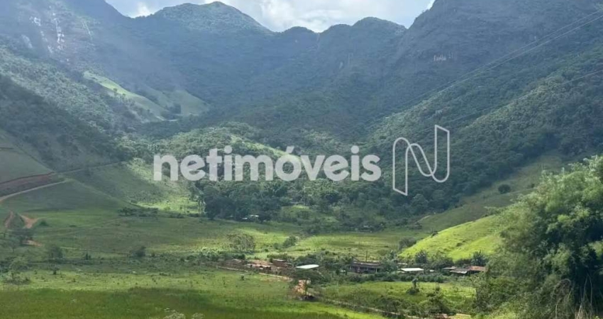Chácara / sítio com 7 quartos à venda na Zona Rural Miradouro, Belisário, Muriaé