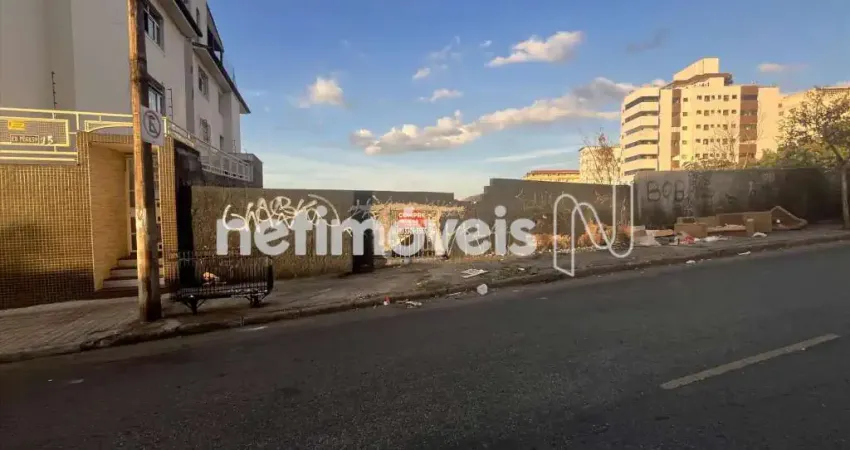 Terreno comercial à venda na Rua Nísio Batista de Oliveira, São Lucas, Belo Horizonte